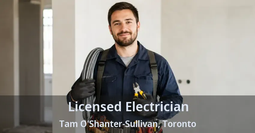Licensed Electrician Tam O'Shanter-Sullivan, Toronto - ON