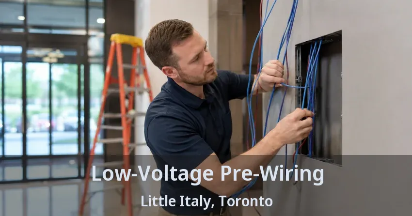 Low-Voltage Pre-Wiring Little Italy, Toronto - ON